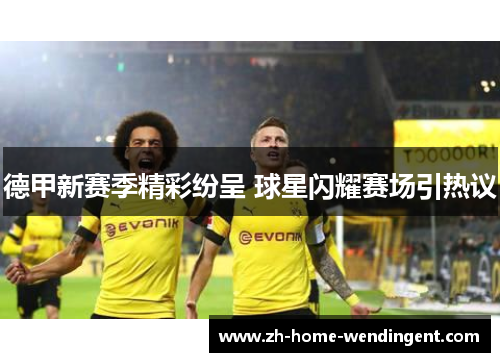 德甲新赛季精彩纷呈 球星闪耀赛场引热议